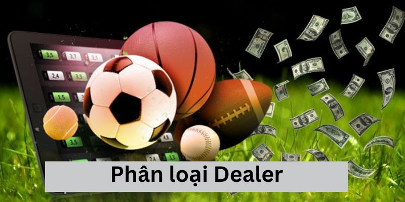 Phân loại Dealer chi tiết