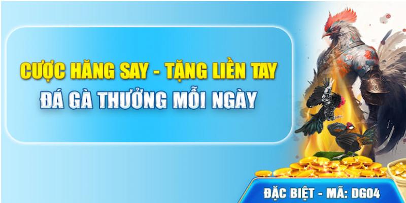 Khuyến mãi hoàn thưởng đá gà được săn đón nhất hiện nay 